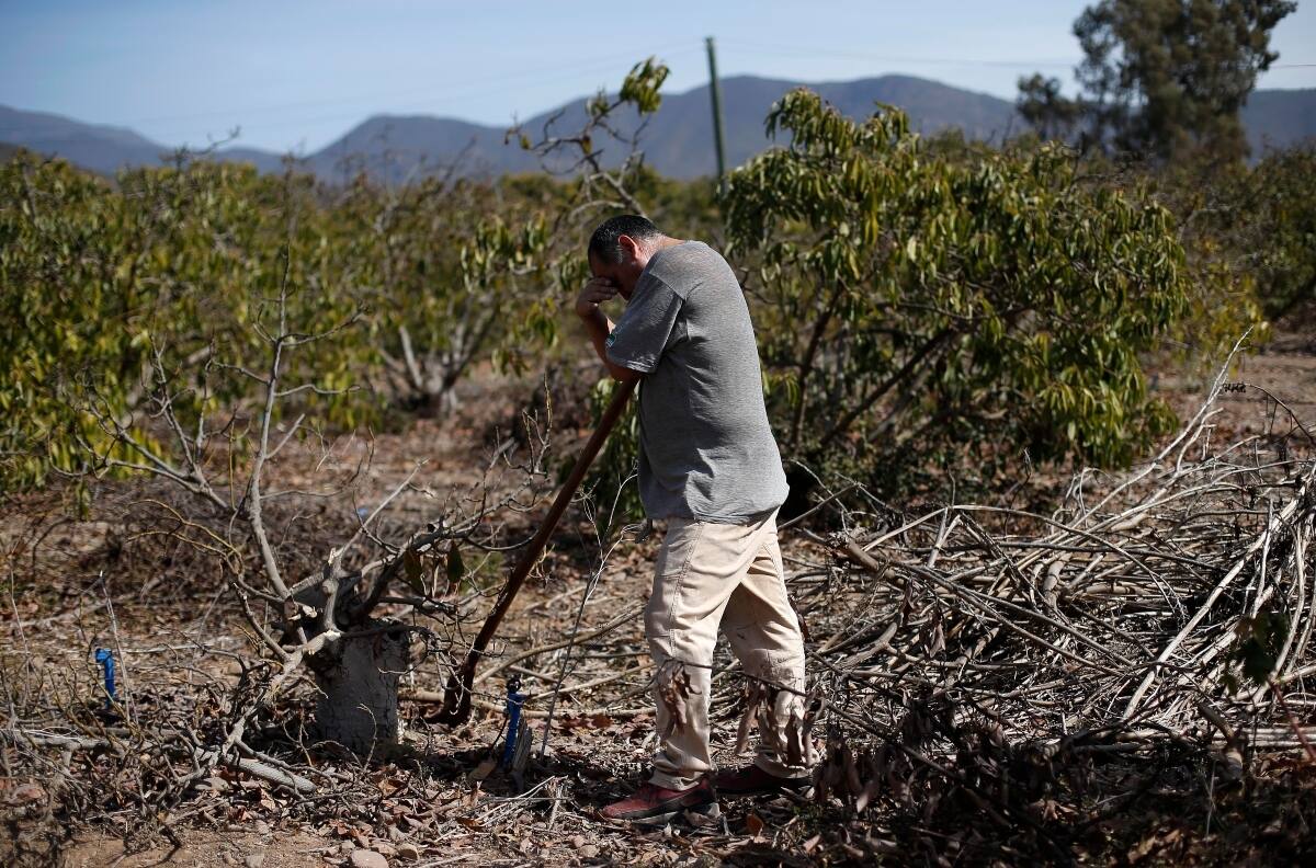 Cambio climático: ¿Cuáles son las comunas de la Región Metropolitana con mayor escasez hídrica?