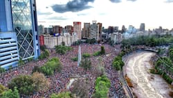 Efemérides de HOY, viernes 25 de octubre: Nace Pablo Picasso y se registra la protesta más grande de Chile