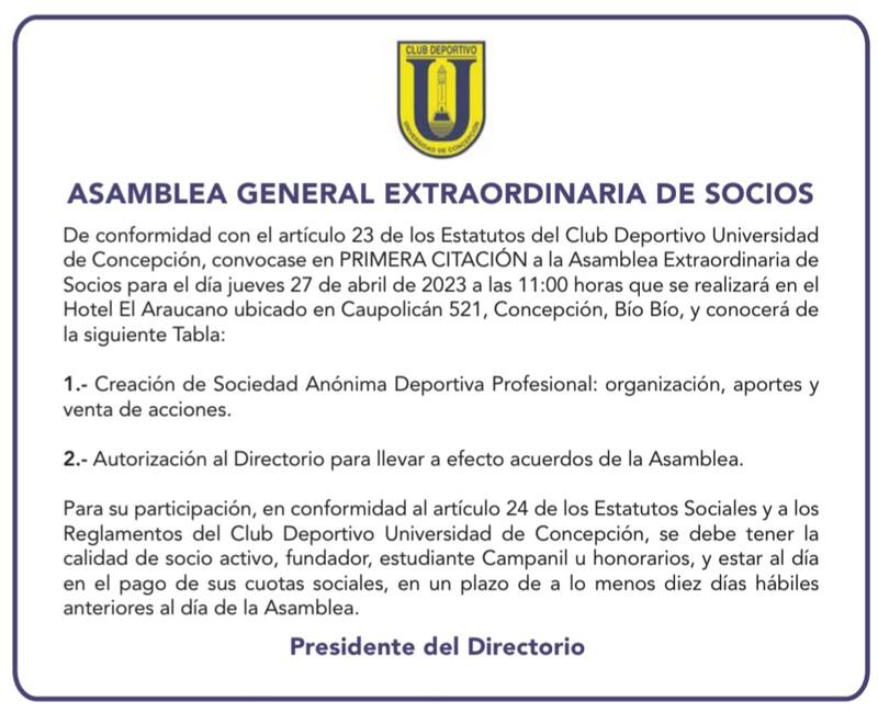 Universidad de Concepción está cerca de ser Sociedad Anónima.