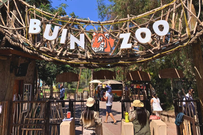 Un gran panorama que regala entradas para los cumpleañeros. Créditos: Buin Zoo.