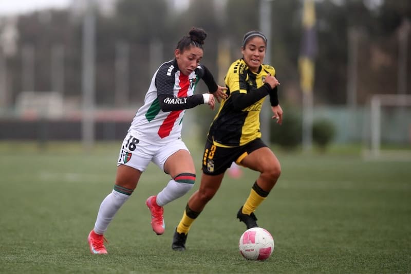 Se logró el profesionalismo, pero en términos prácticos es como la ocupación informal en las estadísticas de empleo.