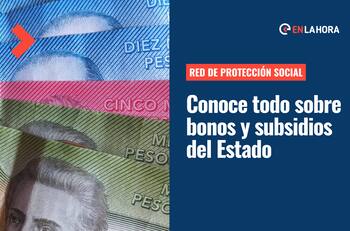 Red de Protección Social: ¿Cómo se usa la plataforma web que da información sobre bonos y subsidios?