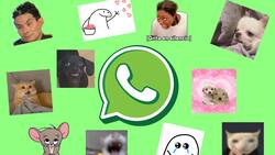 ¿Lo conocías? Este botón te permite organizar todos tus stickers de WhatsApp