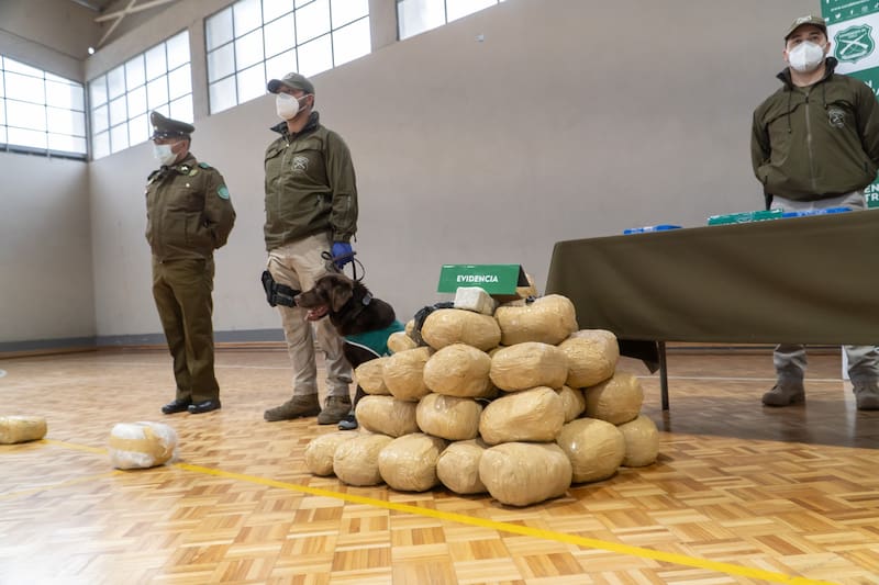 Carabineros del OS-7 realizó la incautación de droga más grande registrada en la Región del Biobío.