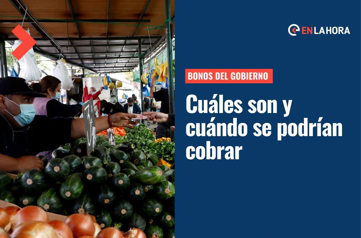 Nuevos bonos del Gobierno: Consulta cuáles son y cuándo se podrían cobrar
