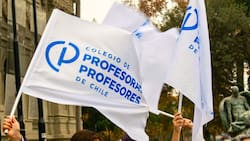 Colegio de Profesores se moviliza este lunes: ¿Cuánto durará el paro?