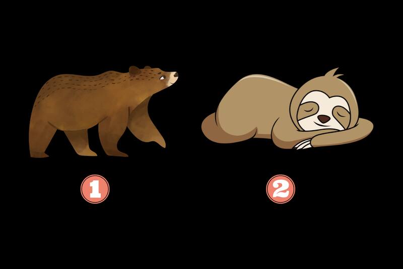 Elige un oso y descubre más de ti.