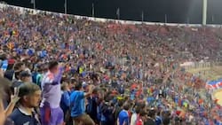 VIDEO | “Paqui ya se va”: hinchada de la U se aburrió de Meneghini y pidió su salida en el Nacional