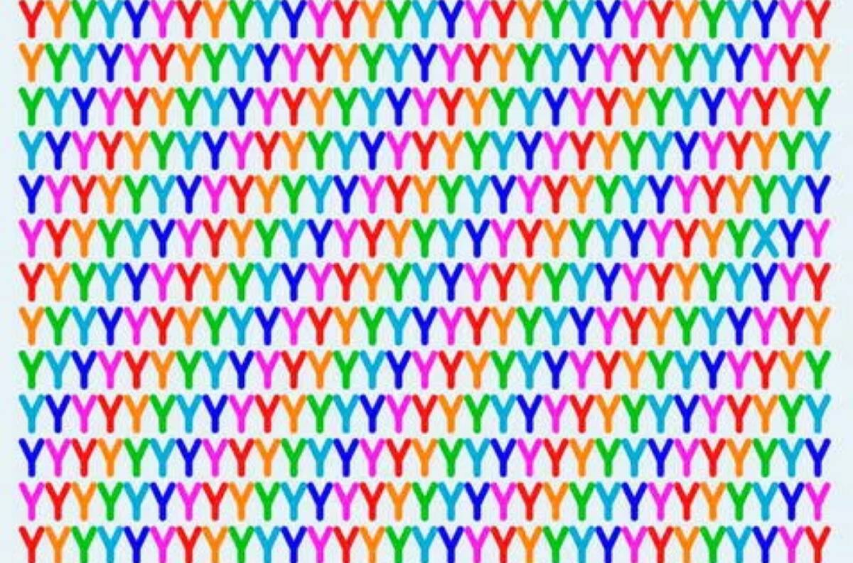 Test Visual: ¿Te atreves a encontrar la letra X en la imagen en menos de 10 segundos?