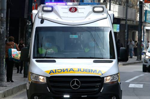 Niña de 5 años está en riesgo vital tras ser atacada por dos perros rottweiler