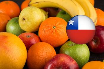 Esta inusual fruta chilena causa furor: es ideal para el verano pero está agotada hasta 2025