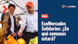 EcoMercados Solidarios del Fosis ¿En qué comunas se entregarán alimentos y cómo funcionará?