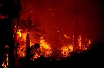 Incendio en Viña de Mar: ¿Cuáles son los albergues y centros de acopio disponibles y dónde están ubicados?