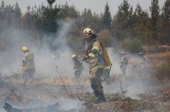 Incendios Forestales: Máquina agrícola en mal estado causó siniestro en sector de Panguipulli