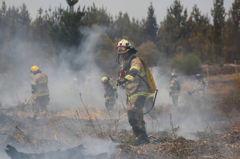 La emergencia se registró en el sector rural Los Tallos. Créditos. Referencial/ATON