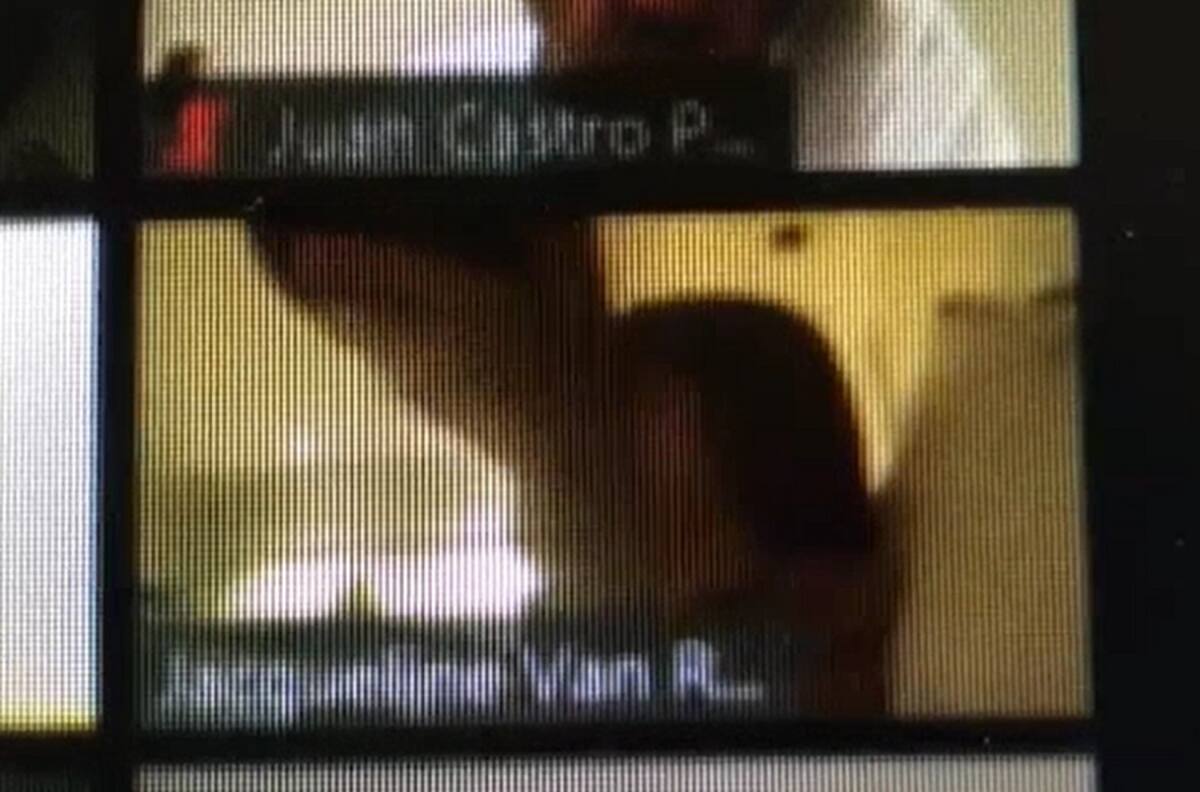 Jacqueline Van Rysselberghe fue captada tomando vino en su cama en plena sesión en línea del Senado