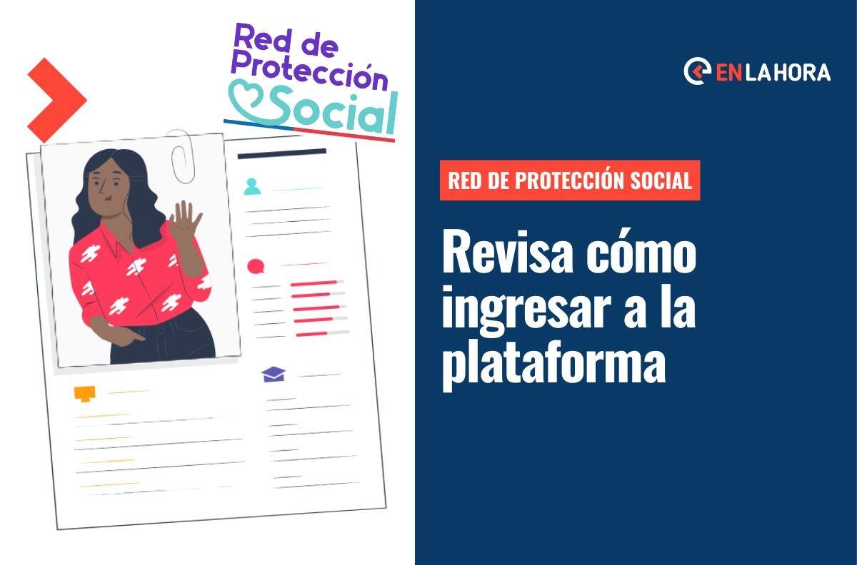 Red de Protección Social: ¿Cómo ingresar a la plataforma y a qué beneficios puedo acceder?