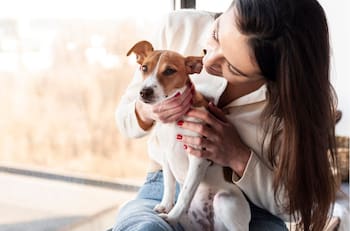 ¿Cómo cuidar a tus mascotas de las alergias primaverales? Conoce las recomendaciones de los expertos