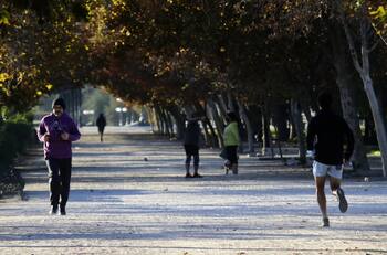 Municipalidad de Santiago anunció cierre perimetral del Parque de Los Reyes por delincuencia