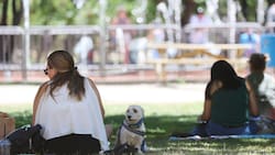 Este será el día más caluroso de la semana en Santiago: Máxima superará los 27 °C