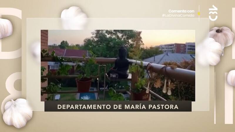 La terraza de su departamento / CHV