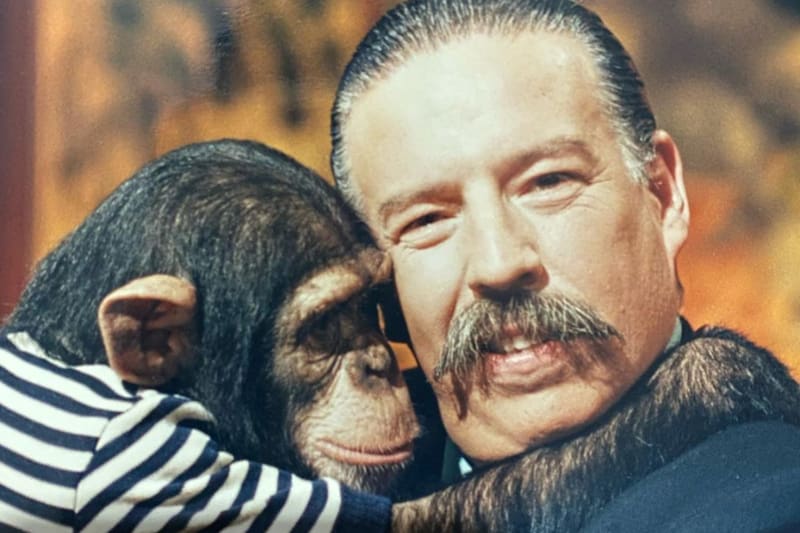 Iván Arenas en Maravillozoo. Créditos: @elproferossa