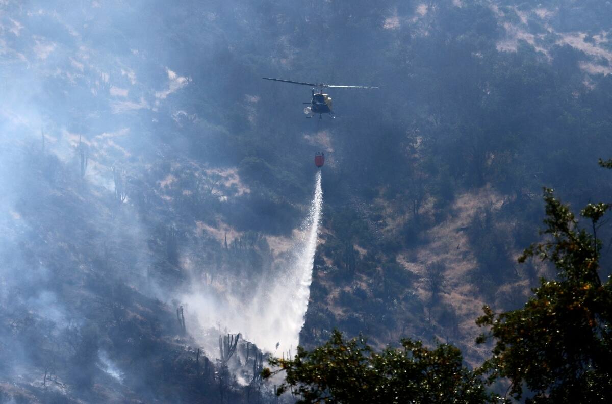 Incendio forestal: Onemi mantiene la Alerta Roja para Los Sauces y Angol