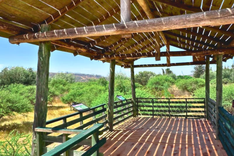 El mejor destino turístico para visitar en otoño. Créditos: Pases Parques.