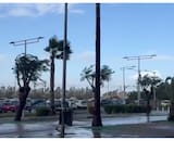 VIDEO | Se preocupa Pellegrini: así está La Cartuja a horas del partido del Betis por la Copa del Rey