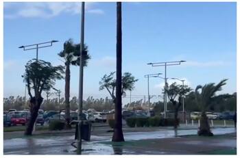 VIDEO | Se preocupa Pellegrini: así está La Cartuja a horas del partido del Betis por la Copa del Rey