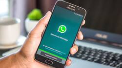 Guido Girardi repudió a WhatsApp: "Enfrentamos una dictadura de las plataformas"