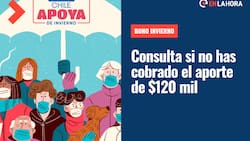 Bono Invierno: Revisa si tienes pendiente el pago de los $120.000 y el plazo para cobrarlo