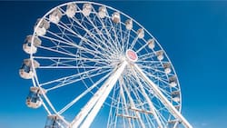 El panorama ideal para Fiestas Patrias: Confirman dónde estará la Gran Rueda en septiembre