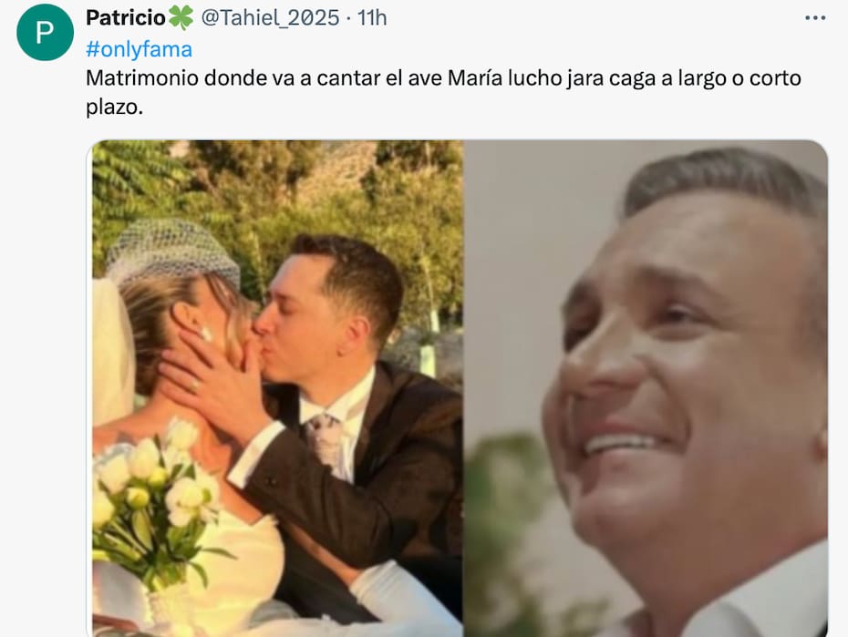 Los mejores memes.