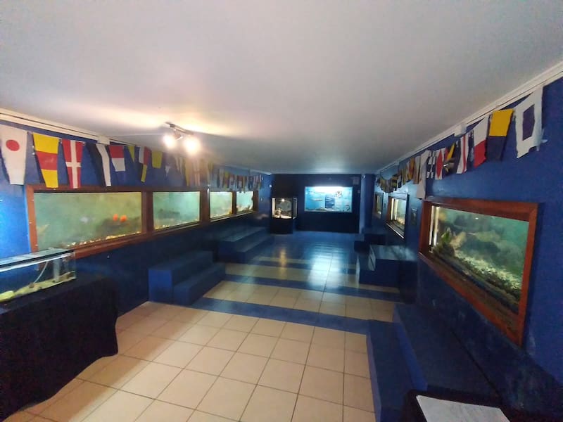 Revisa el horario de funcionamiento y las especies que puedes conocer. Créditos: UCN.