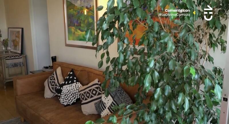 Parte de su living / CHV