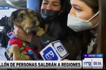 "No me hue...": Notera de "Mucho Gusto" casi fue mordida por un perro en pleno despacho desde el terminal de buses