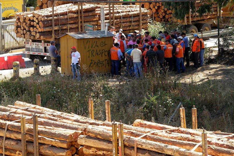 El obrero fue alcanzado por un eucalipto quedando con heridas graves que provocaron su muerte. Créditos: ATON/Referencial