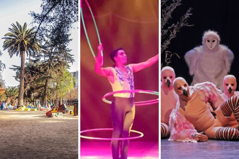 Ideales para disfrutar en familia.
Créditos: TripAdvisor, Circo Gigante de México y Teatro Mori.