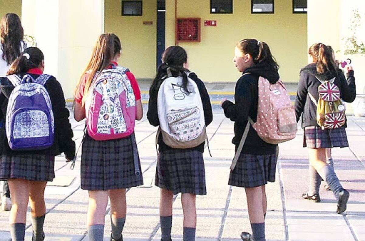 Bono Logro Escolar 2020: Consulta montos y saldos con tu Rut