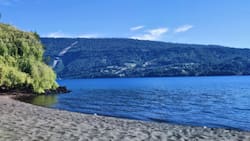 Mané Camping: El plan perfecto para descansar junto a la naturaleza y con acceso a un lago increíble