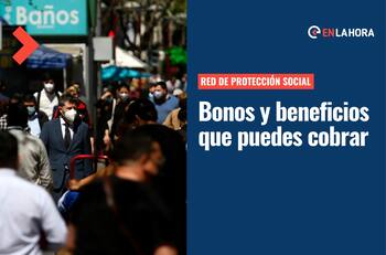 Red de Protección Social: Consulta con el RUT todos los bonos y beneficios que puedes tener