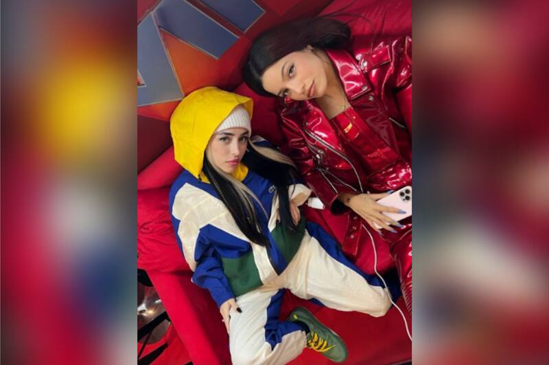 Las artistas sufrieron un leve accidente durante el show de Karol G