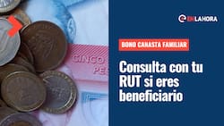 Bono Canasta Familiar 2022: Consulta con tu RUT si resultas beneficiario y el monto que recibirás