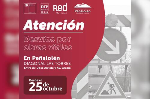 La medida afecta a diez recorridos que circulan por el sector suroriente de la Región Metropolitana. Créditos: Red Movilidad.