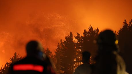 Quién es Rodrigo Vera, alcalde y figura clave en medio del combate de incendios en Penco