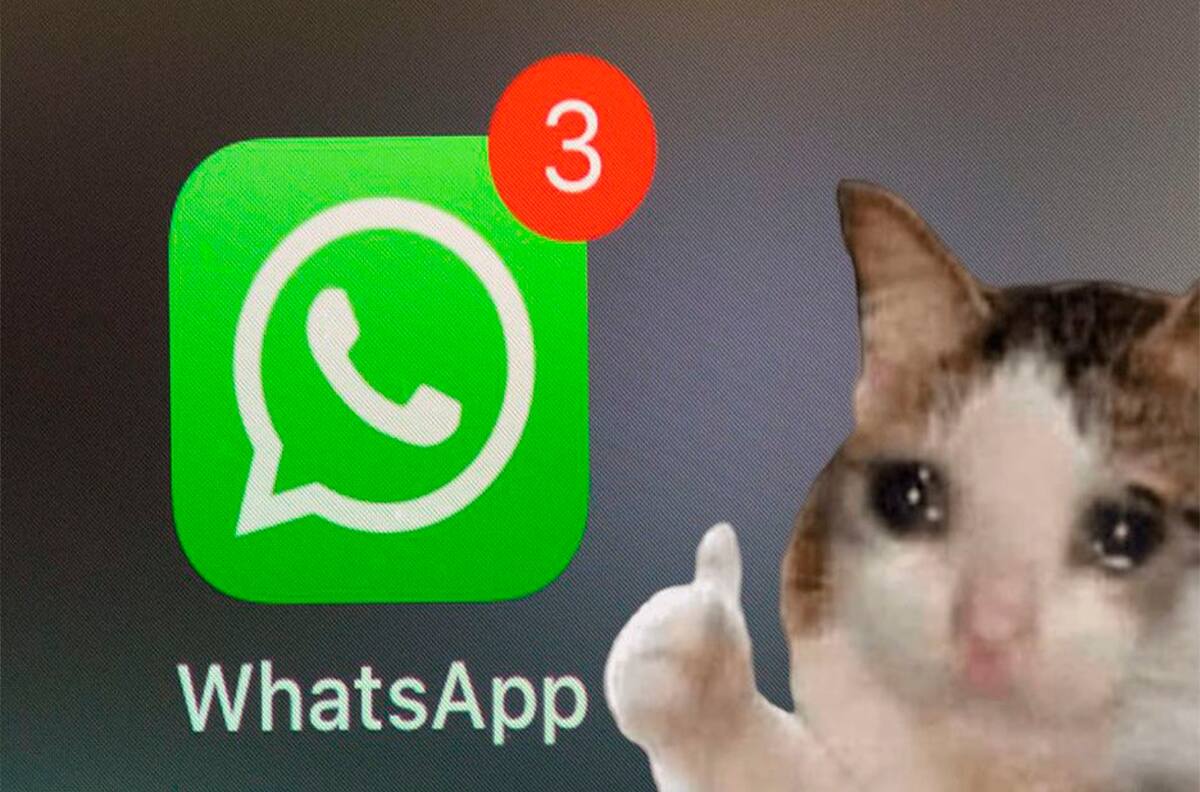 Descubre la herramienta para buscar stickers de WhatsApp en tu teléfono