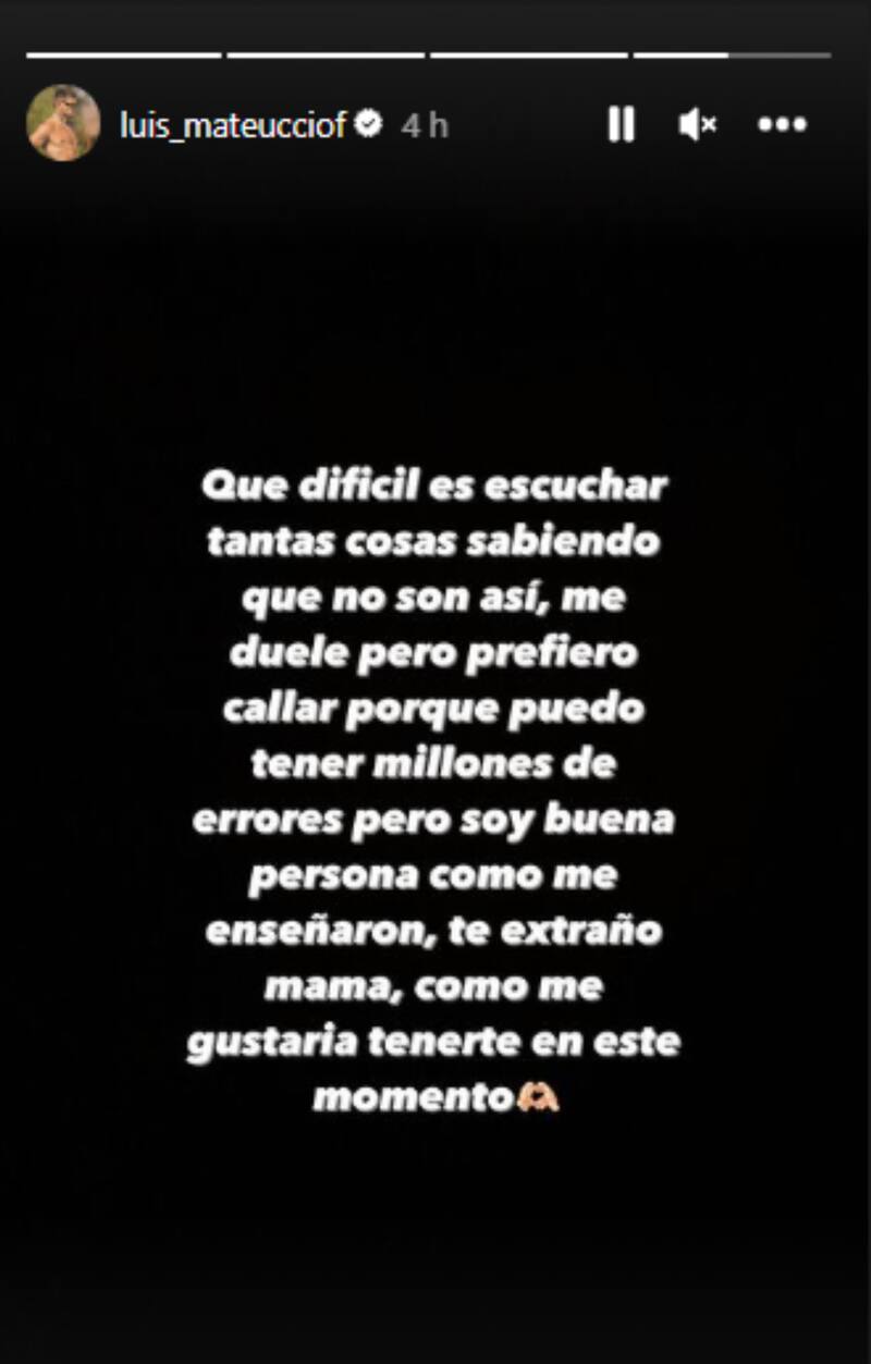El misterioso mensaje de Luis Mateucci en Instagram