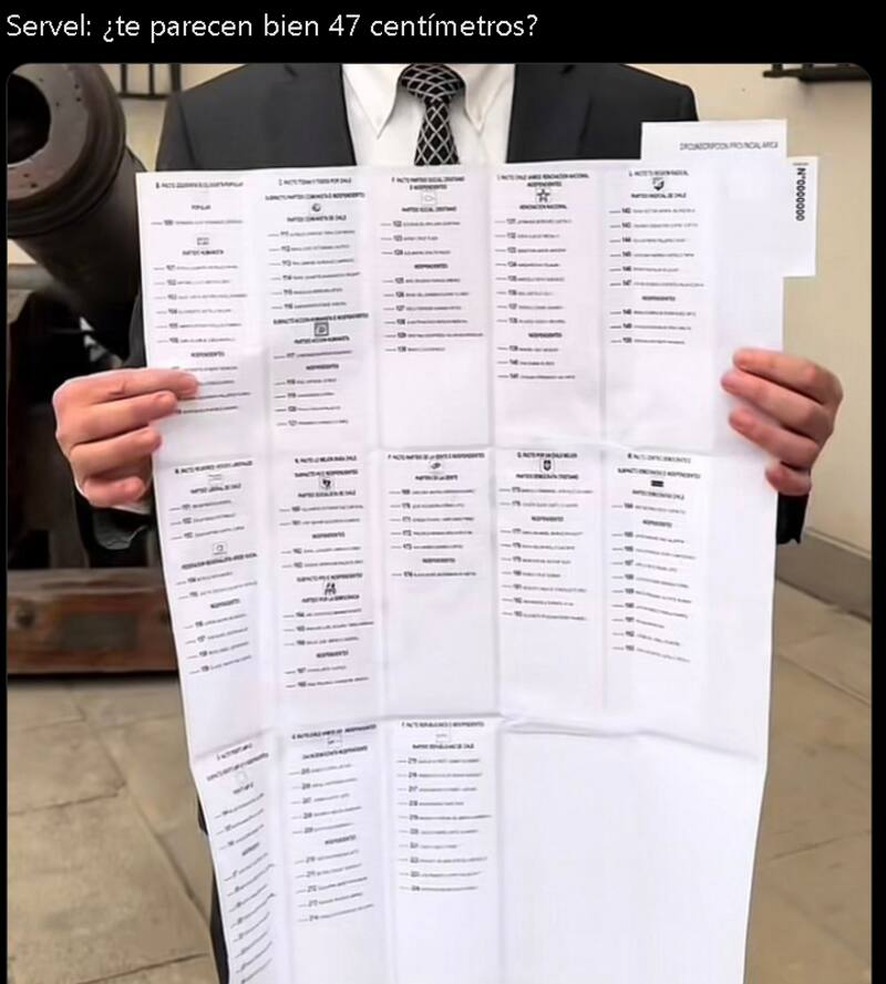 Los mejores memes de las elecciones 2024.