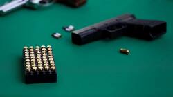 ¿Civiles podrían andar armados? Diputado anuncia proyecto para consagrar el uso legítimo de armas de fuego